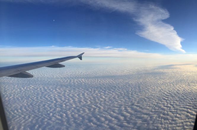 12239362_10207233230847438_4912291137774834419_o